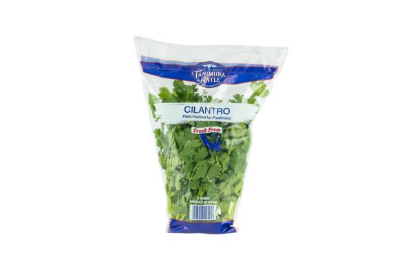 CILANTRO BOLSA FRES FROM