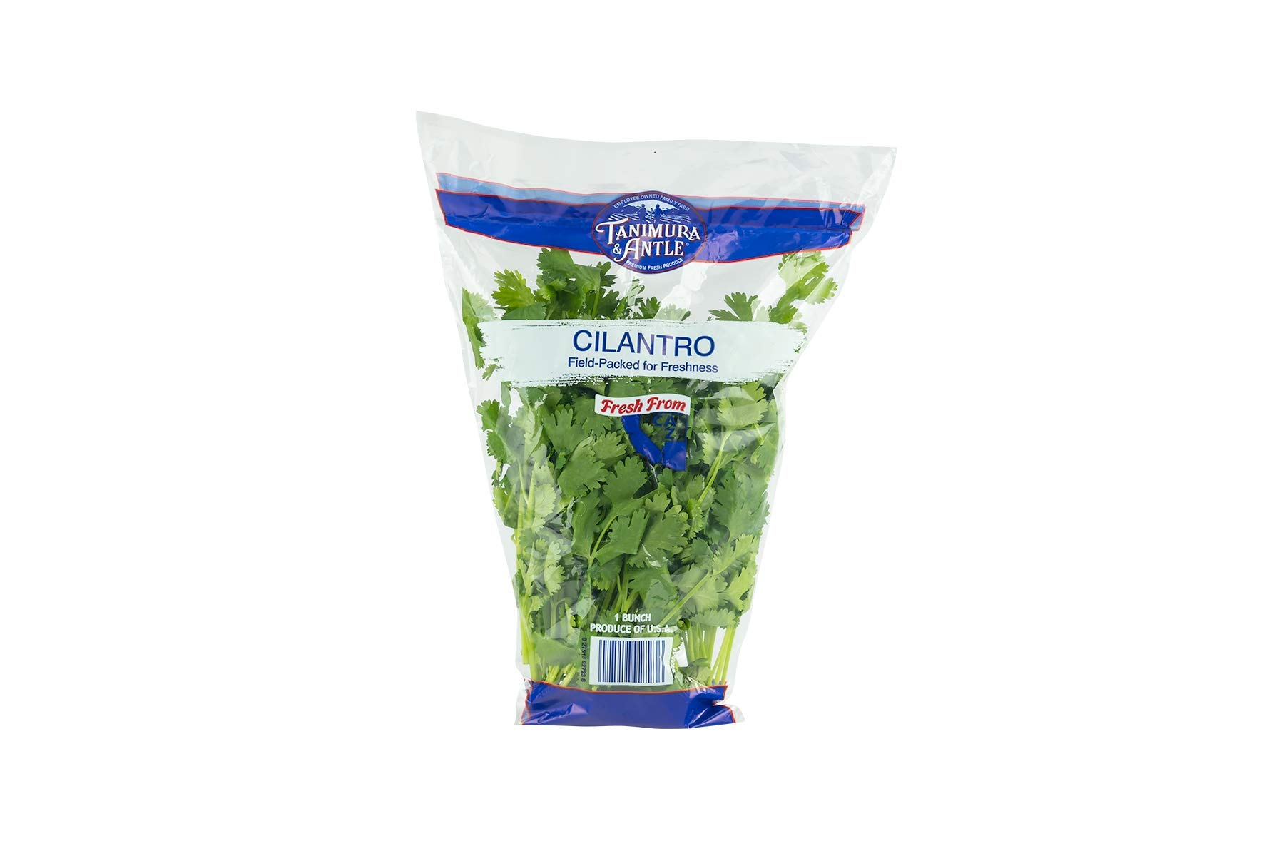 CILANTRO BOLSA FRES FROM: imagen 1