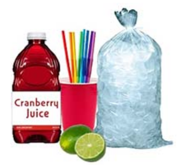 GANISTO V ANILLA CAKE W/STRW 1 EA