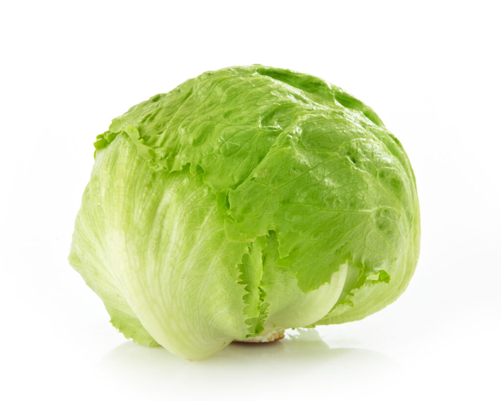 LECHUGA CELLO 24 CT