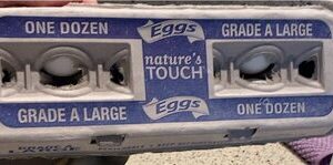 Natures Touch Large Grade A Eggs One dozen