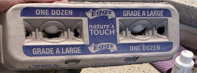 Natures Touch Large Grade A Eggs One dozen