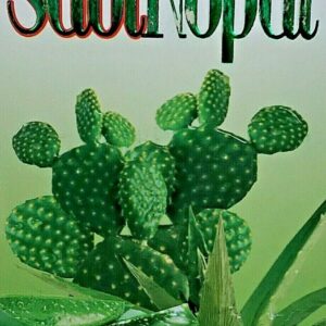 SABI NOPAL ESTOMACAL , GASTRITIS, ACIDEZ 500 MG